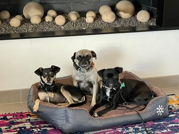 62259FCC-7441-47C3-95E8-DF1D3C9EFAA4_1_105_c